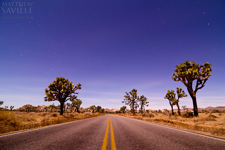 joshua-tree-matthew-saville-01